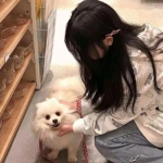3733gm游戏助手破解版下载